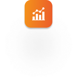 professional website